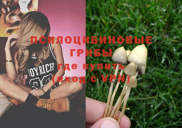 a pvp Беломорск