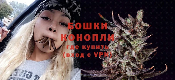Альфа ПВП Белокуриха