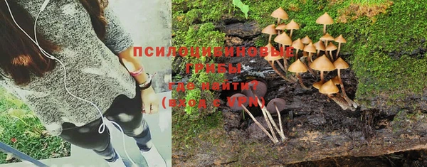 Альфа ПВП Белокуриха