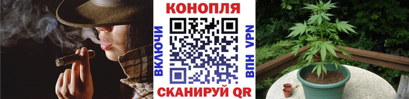 МАРИХУАНА планчик Губкинский